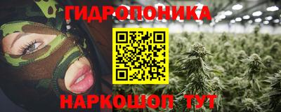 PSILOCYBIN Берёзовский