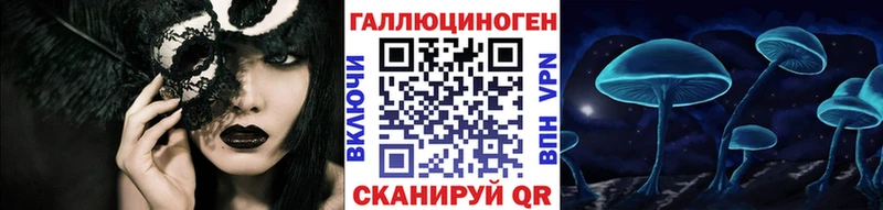 Псилоцибиновые грибы Psilocybe  где продают наркотики  Димитровград 